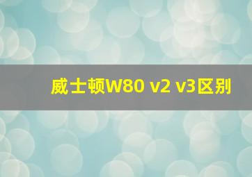 威士顿W80 v2 v3区别